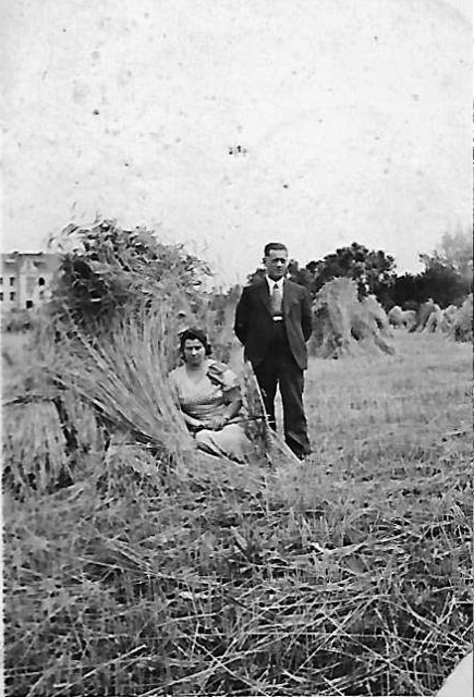 Kazimierzowska, 1930