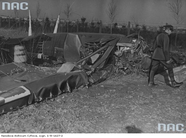 Wypadek lotniczy, 1933