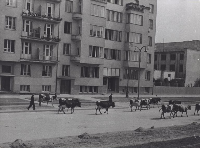 Al. Niepodległości, ok. 1939