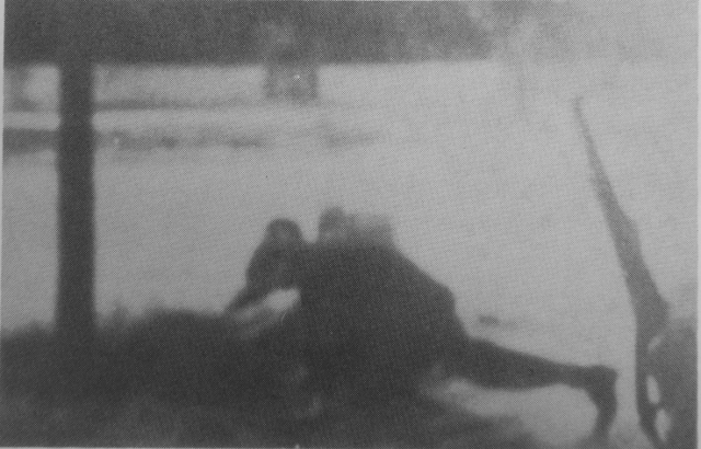 Szustra, 1944
