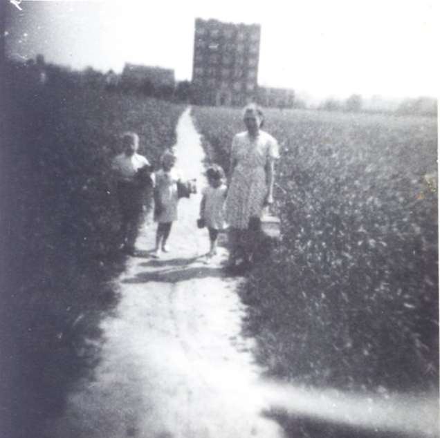 Al. Niepodległości, Wierzbno, 1944 Al. Niepodległości, Wierzbno, 1944