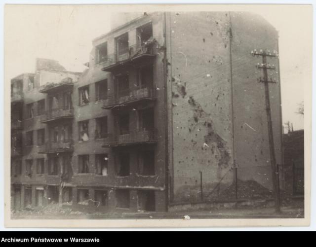 Dolna 39 Dolna 39, 1946
