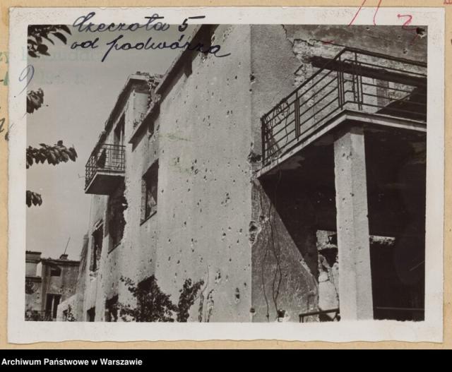 Czeczota 5, 1946