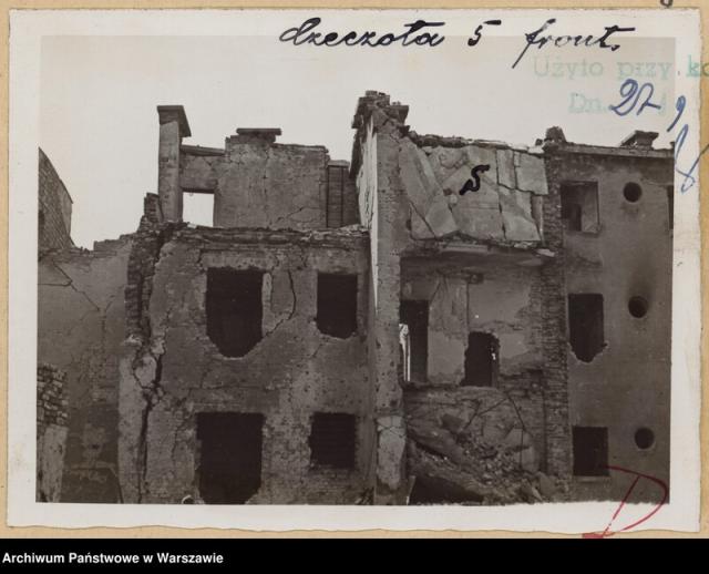 Czeczota 5 Czeczota 5, 1946