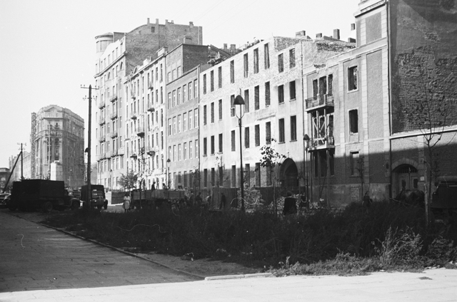 Klonowa, 1949 Klonowa, 1949