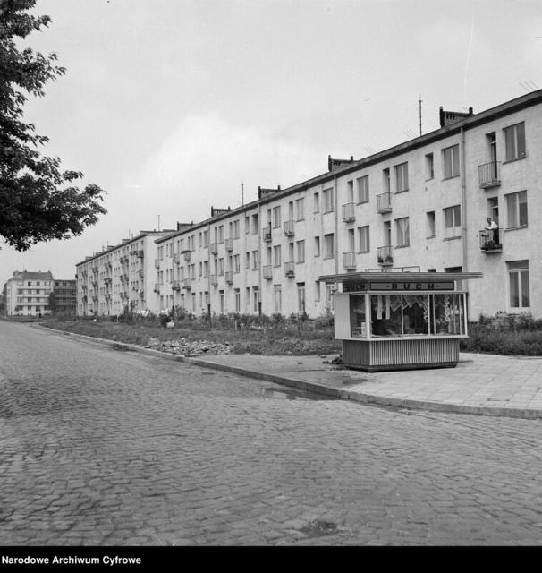 Wołoska, 1951