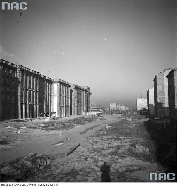 Al. Niepodległości, 1954 Al. Niepodległości, 1954