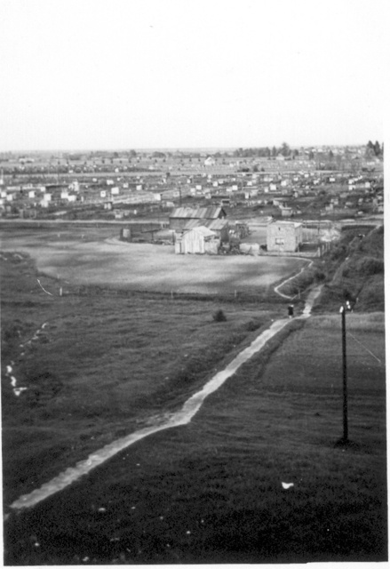 Widok ze skarpy Widok ze skarpy, ok. 1955
