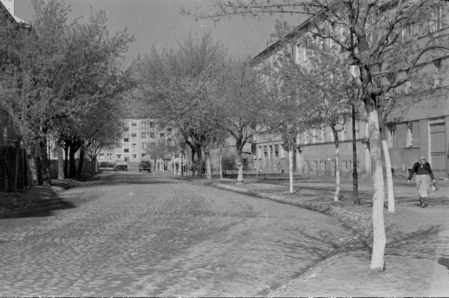 Podchorążych, 1956 Podchorążych, 1956