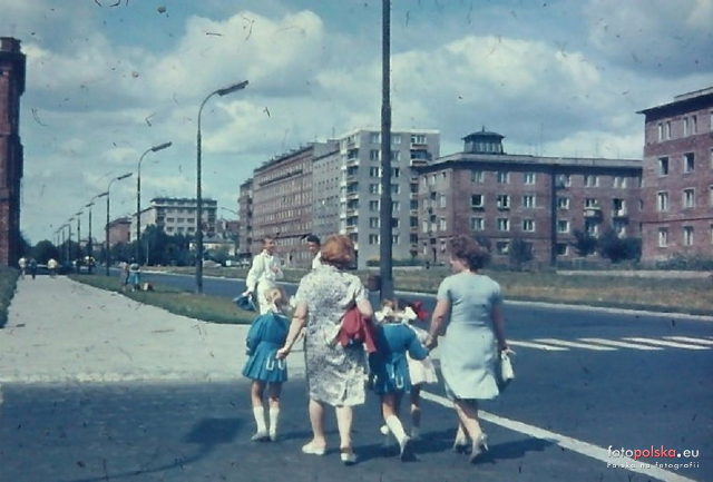 Al. Niepodległości, Wierzbno, 1963 Al. Niepodległości, Wierzbno, 1963
