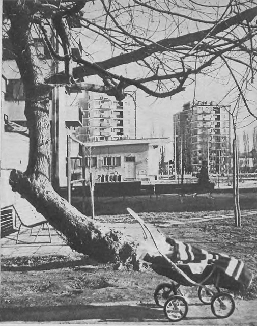 Dolna, 1971 Dolna, 1971