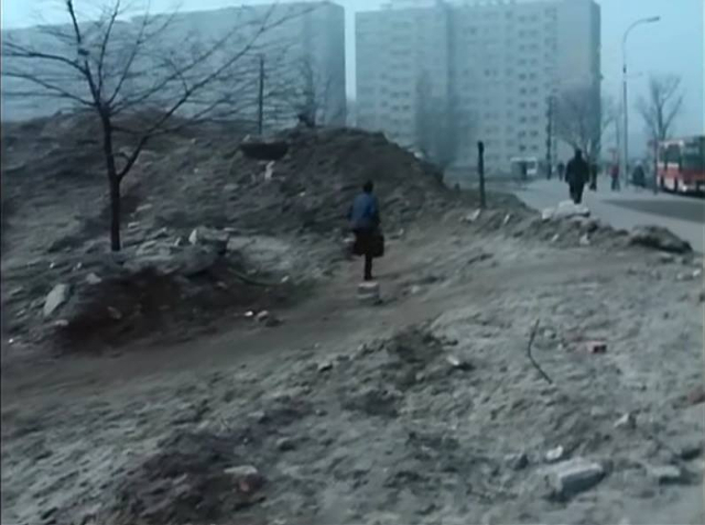 Św. Bonifacego, 1977