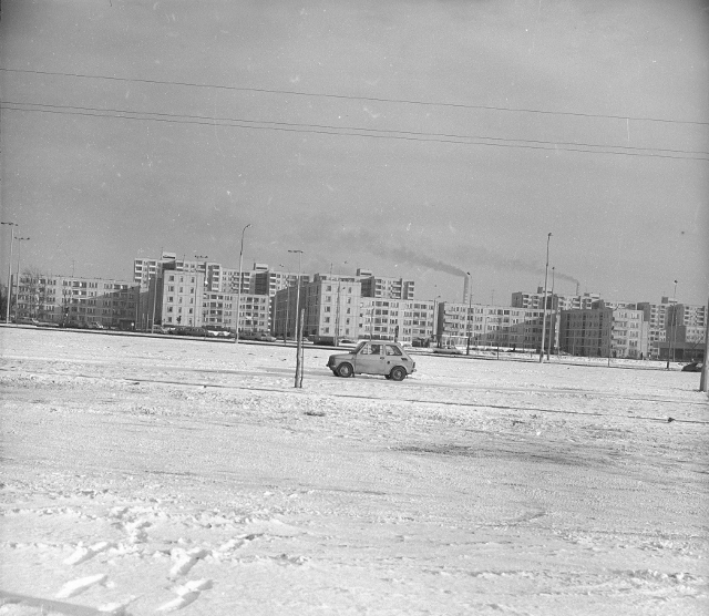 Pory, 1981 Pory, 1981