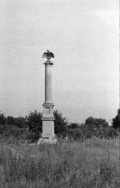 Orzeł z Bukowińskiej, 1991 Orzeł z Bukowińskiej, 1991