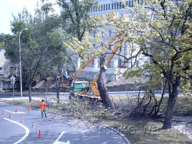 Dolna, 2004 Dolna, 2004