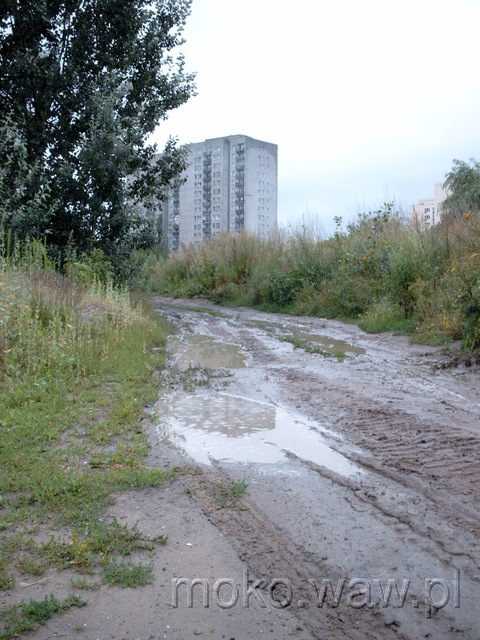 Św. Bonifacego, 2004 Św. Bonifacego, 2004