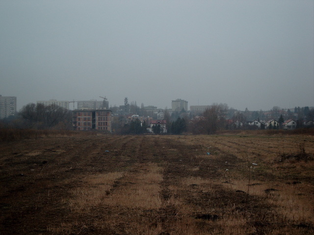 Szopy Polskie, 2004