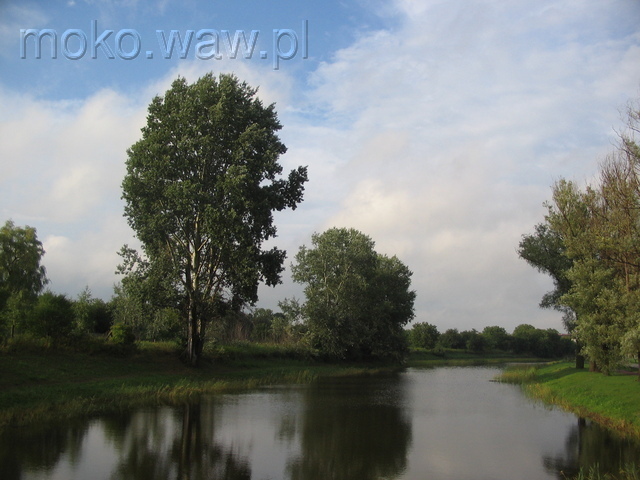 Łacha Siekierkowska, 2005