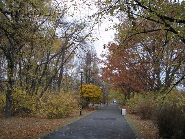 Park Rakowiec, 2005 Park Rakowiec, 2005