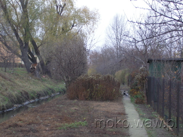 Kanał Czerniakowski, 2005 Kanał Czerniakowski, 2005