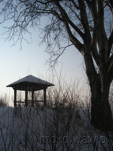 Bukowińska, stupa, 2006