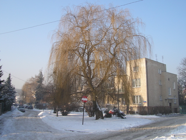 Ikara, 2006 Ikara, 2006