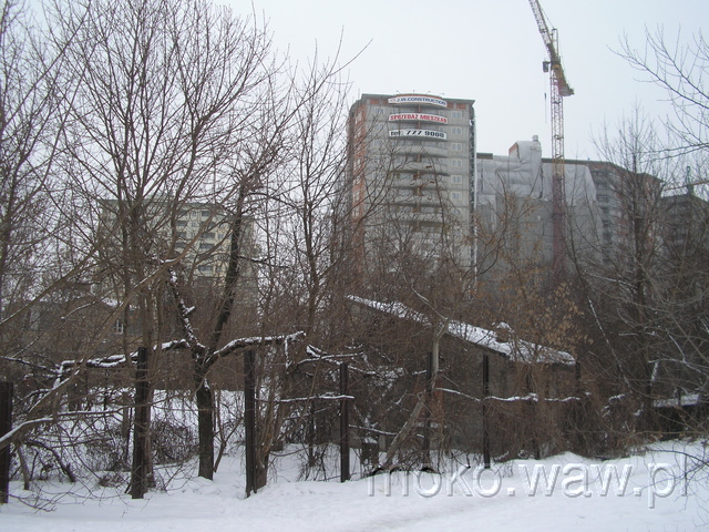 Bukowińska, 2006 Bukowińska, 2006