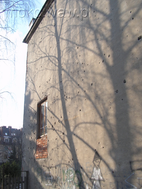 Głogowa, 2006