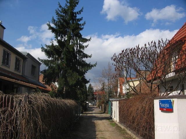 Kuracyjna, 2006
