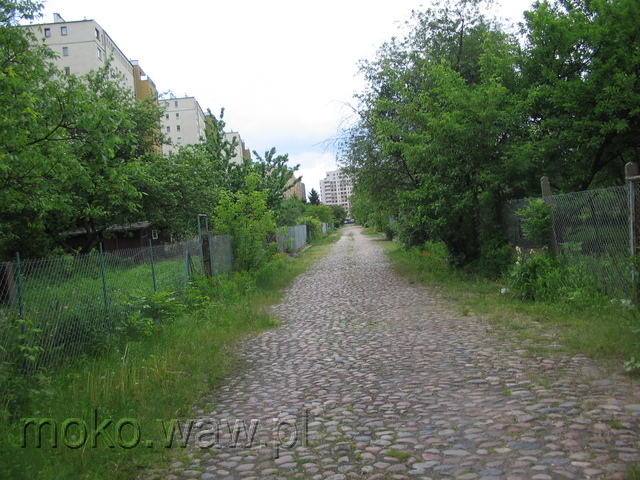 Wężyka, 2006