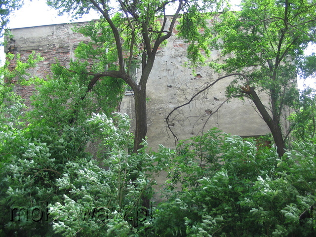Al. Niepodległości, 2006 Al. Niepodległości, 2006