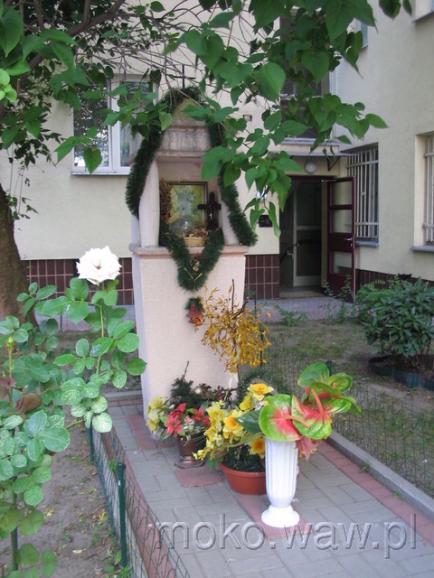 Asfaltowa, 2006 Asfaltowa, 2006