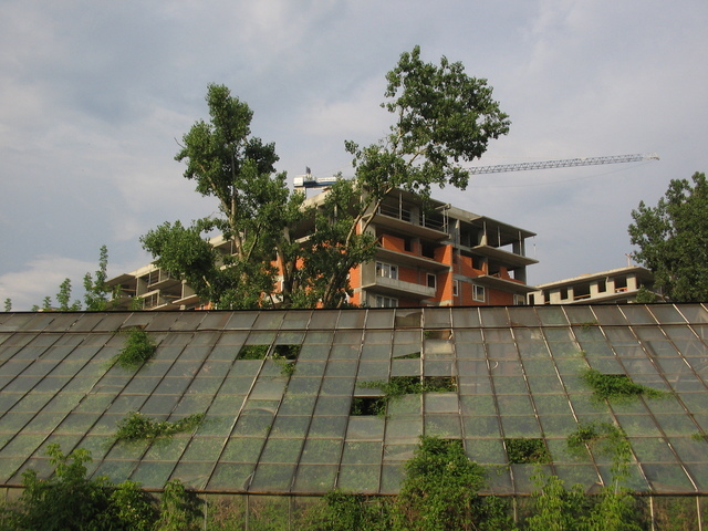 Woronicza, 2006 Woronicza, 2006