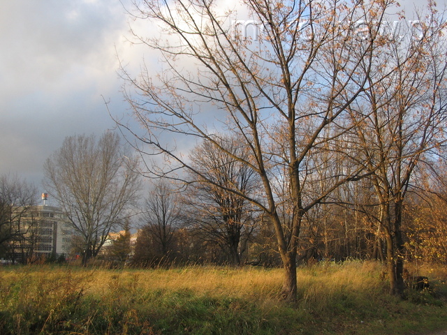 Skwer Małkowskich, 2006