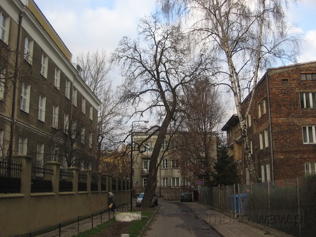 Dożynkowa, 2006 Dożynkowa, 2006