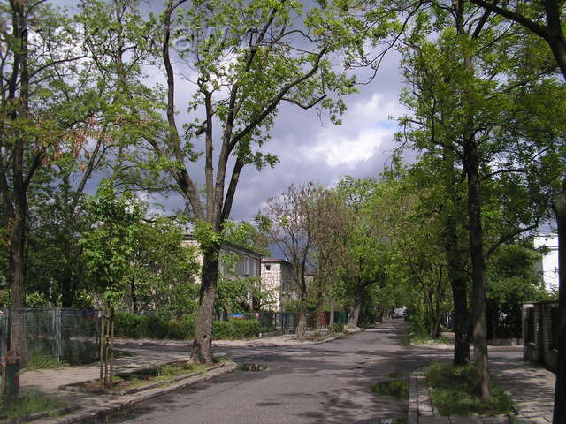Orężna, 2007 Orężna, 2007