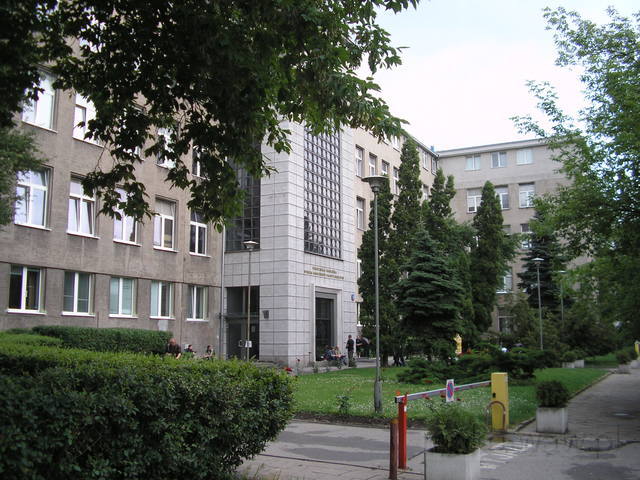 Narbutta, 2007 ul. Narbutta, Politechnika, budynek, drzewa