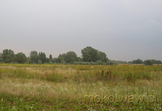 Wał Zawadowski, 2007 Wał Zawadowski, 2007