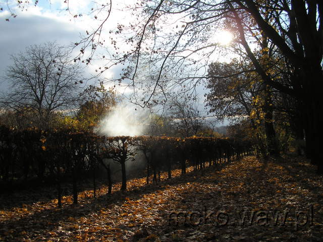Park Rakowiec, 2007 Park Rakowiec, 2007