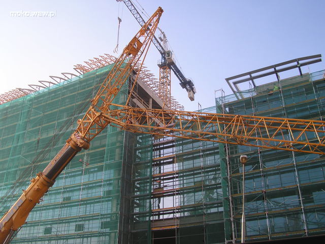 Taśmowa, 2007