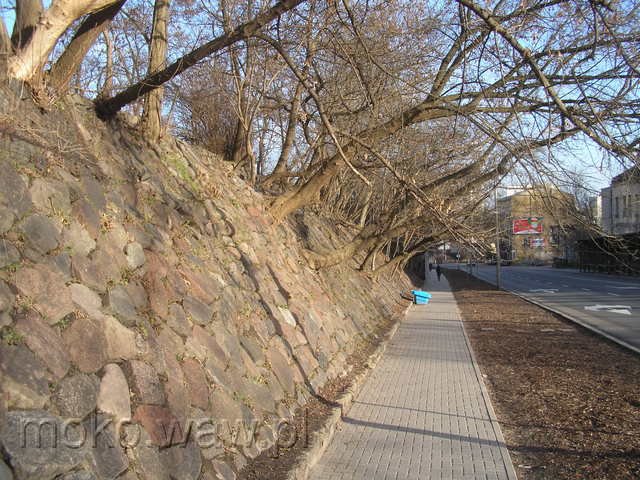 Dolna, 2008 Dolna, 2008