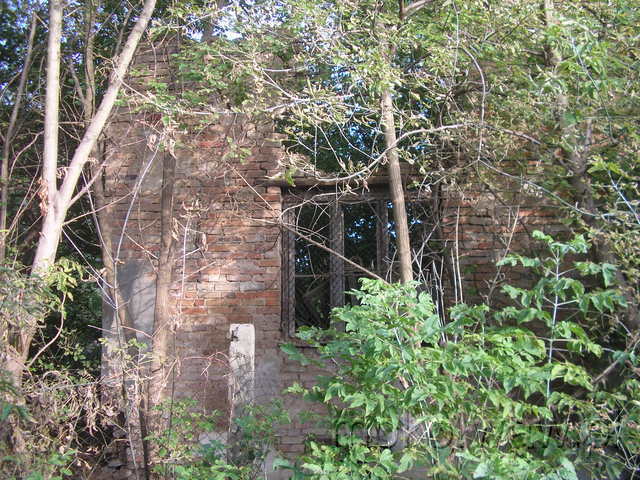 Jaworowska, 2008 Jaworowska, 2008