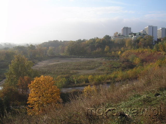 Warszawianka, 2008 Warszawianka, 2008