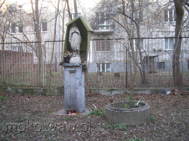 Olesińska, 2008 Olesińska, 2008