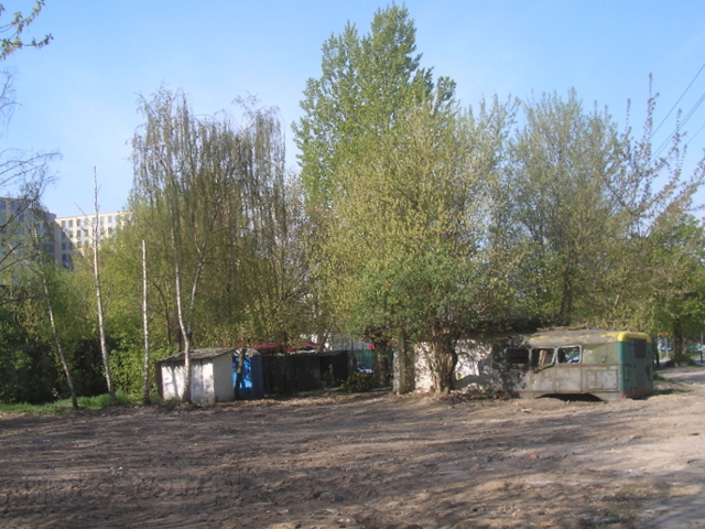 Domaniewska, 2009 Domaniewska, 2009