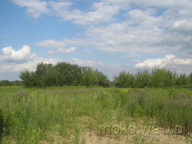 Batalionu AK Jeleń, 2009 Batalionu AK Jeleń, 2009