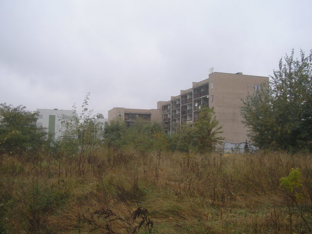 Pallutha, 2009 Pallutha, 2009