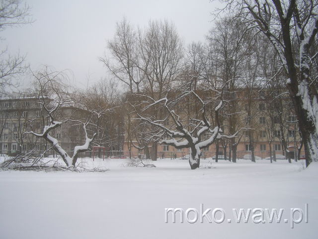Wiktorska, 2010 Wiktorska, 2010