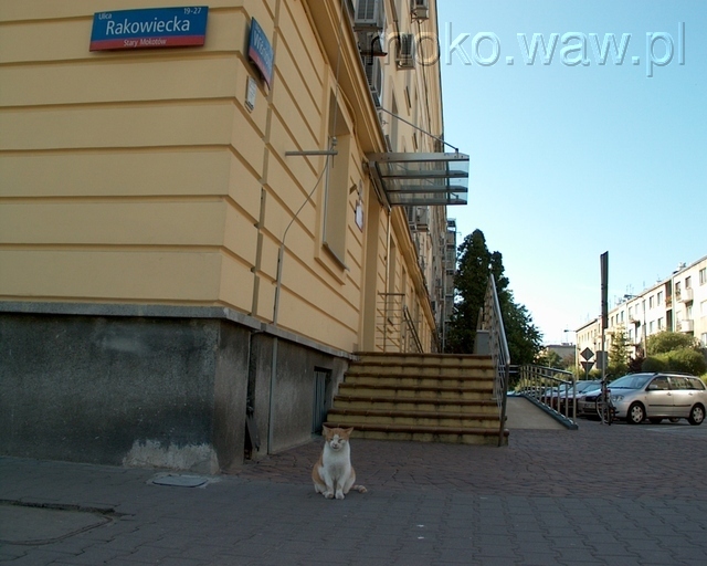 Wiśniowa, 2010 Wiśniowa, 2010