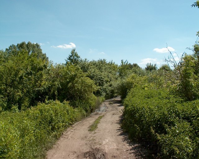 ul. Jaśminowa, 2010 ul. Jaśminowa, 2010